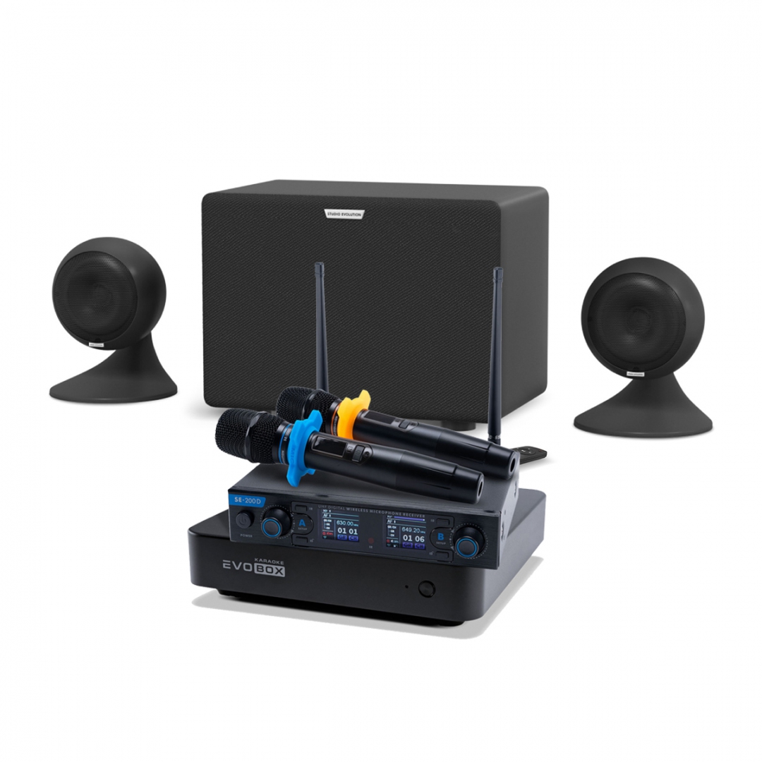 караоке-комплект EVOBOX + EvoSound Sphere 2.1 в Владимире