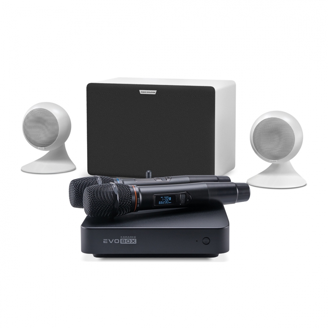 караоке-комплект EVOBOX Classic + EvoSound Sphere 2.1 в Владимире