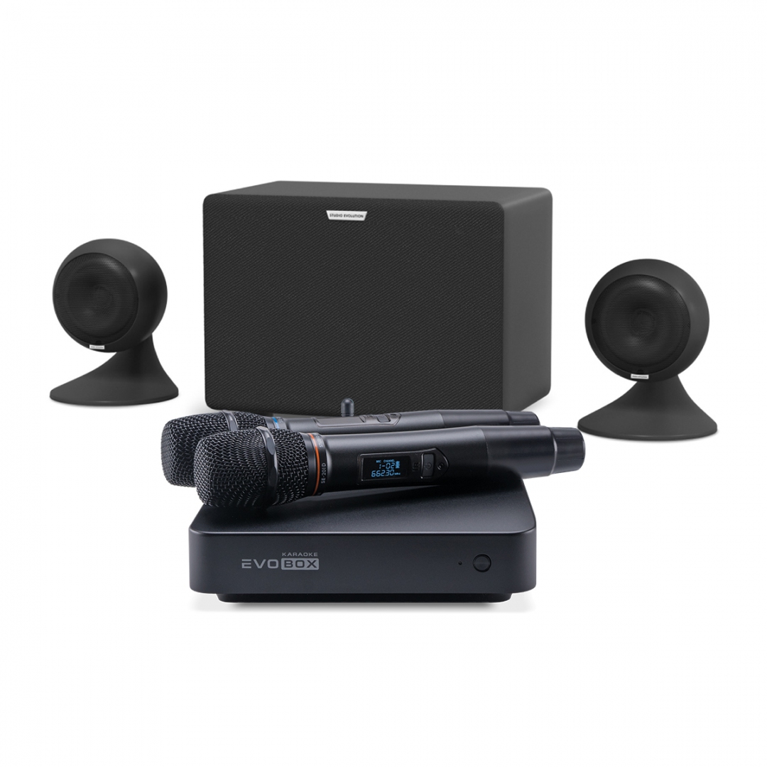 караоке-комплект EVOBOX Plus + EvoSound Sphere 2.1 в Владимире