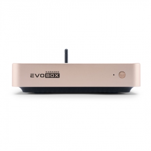 EVOBOX Plus караоке-система для дома в Владимире